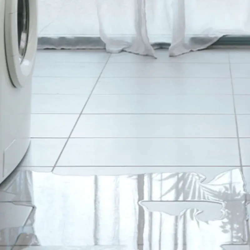 Appliance Leak Cleanup in Ware Shoals, SC