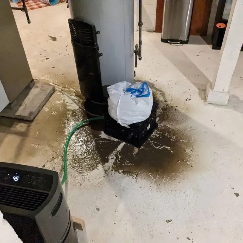 Sewage Backup Cleanup Service in Ware Shoals, SC